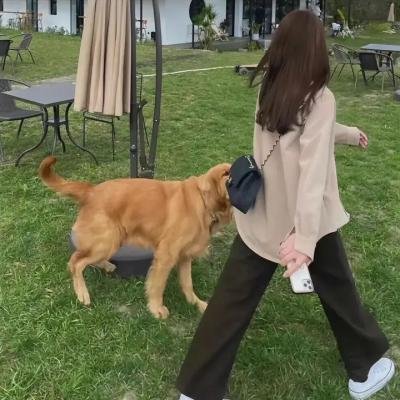 2019:纽约陷落之后